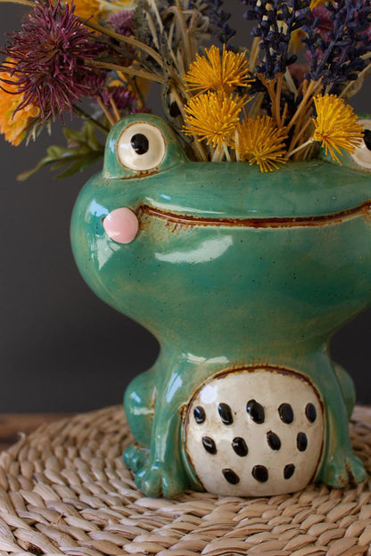 frog succulent Kalalou