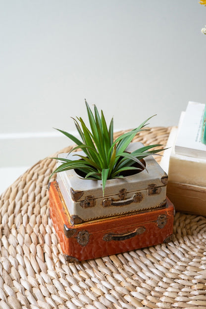 Close up of small ceramic suitcase planter with succulent in it.