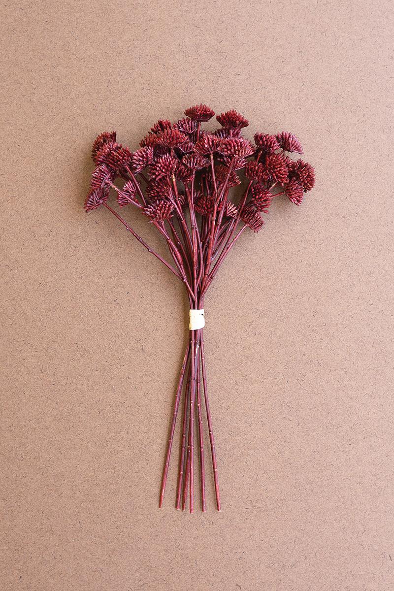 burgundy flower bundle.