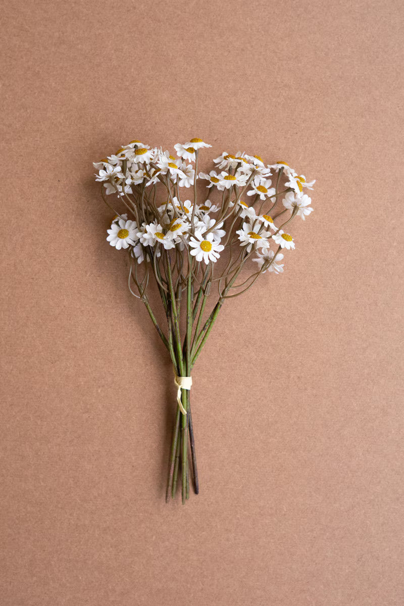 bundle of mini white flowers on a beige background