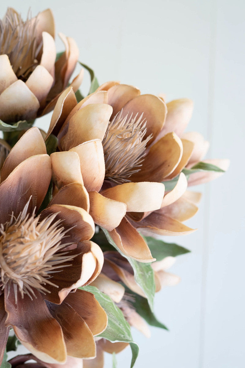 close-up of flowers.