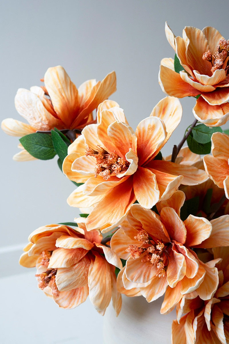 Close-up of orange flowers with green leaves on a light gray background