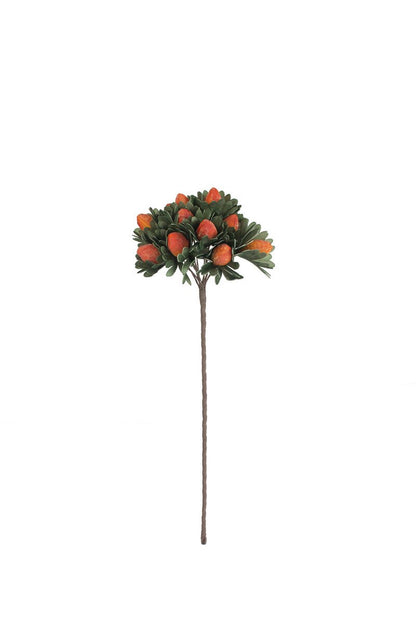 single stem of greenery with orange pods shown on a white background