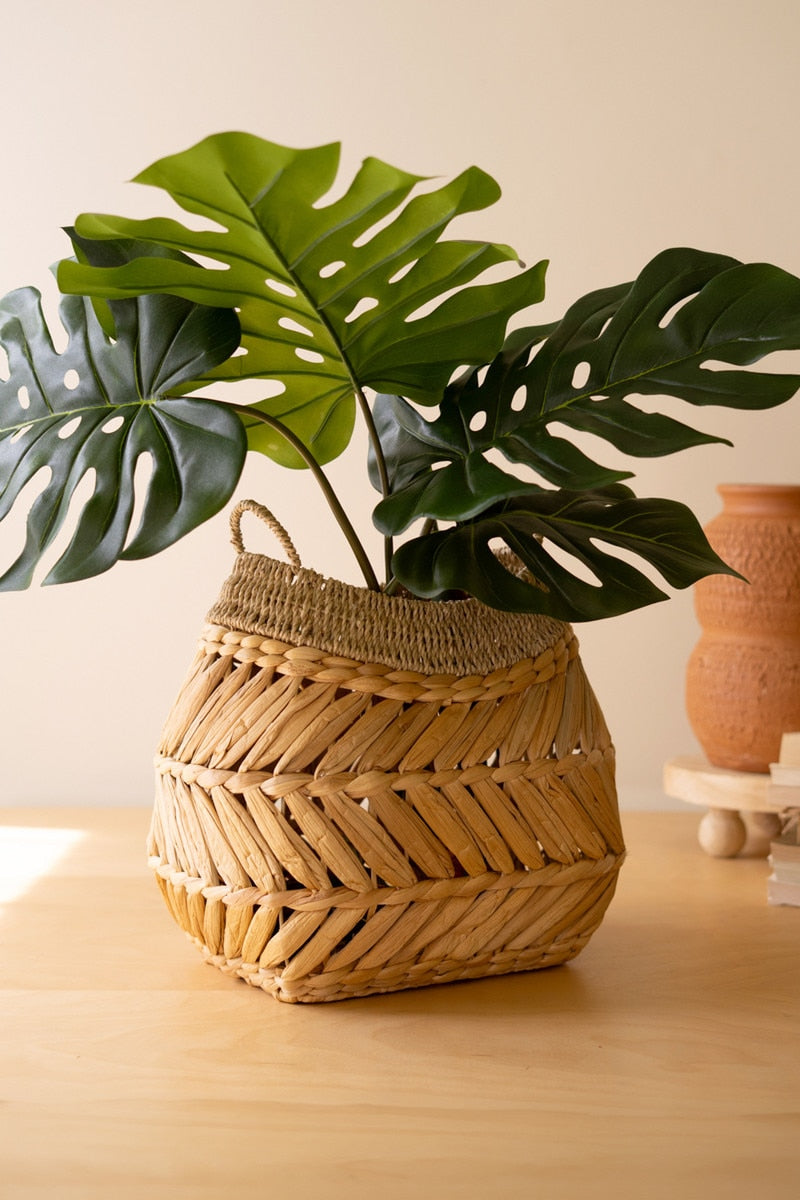 Seagrass Basket with Two Handles shown on a beige background with a green leafy plant on it