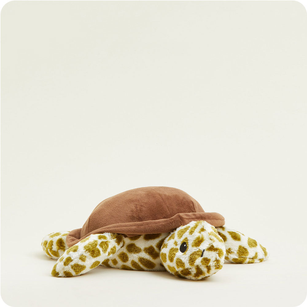 front view of turtle plush toy