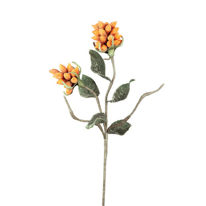 orange seedling pod with green leave on the stem shown on a white background.