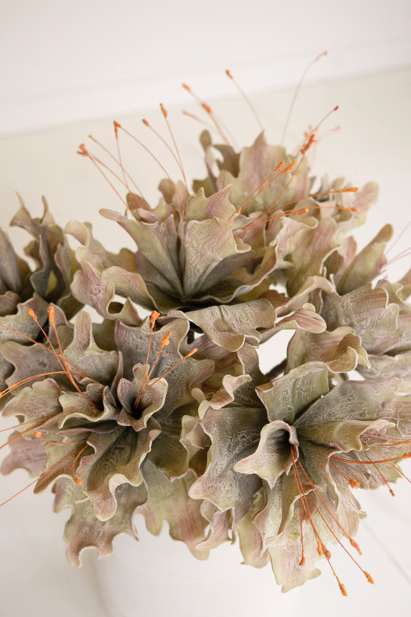 Close-up of a textured floral stems with orange stamens on a light background