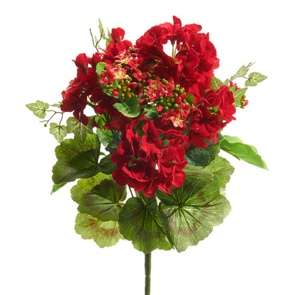 red geranium and kalanchoe stem on a white background.