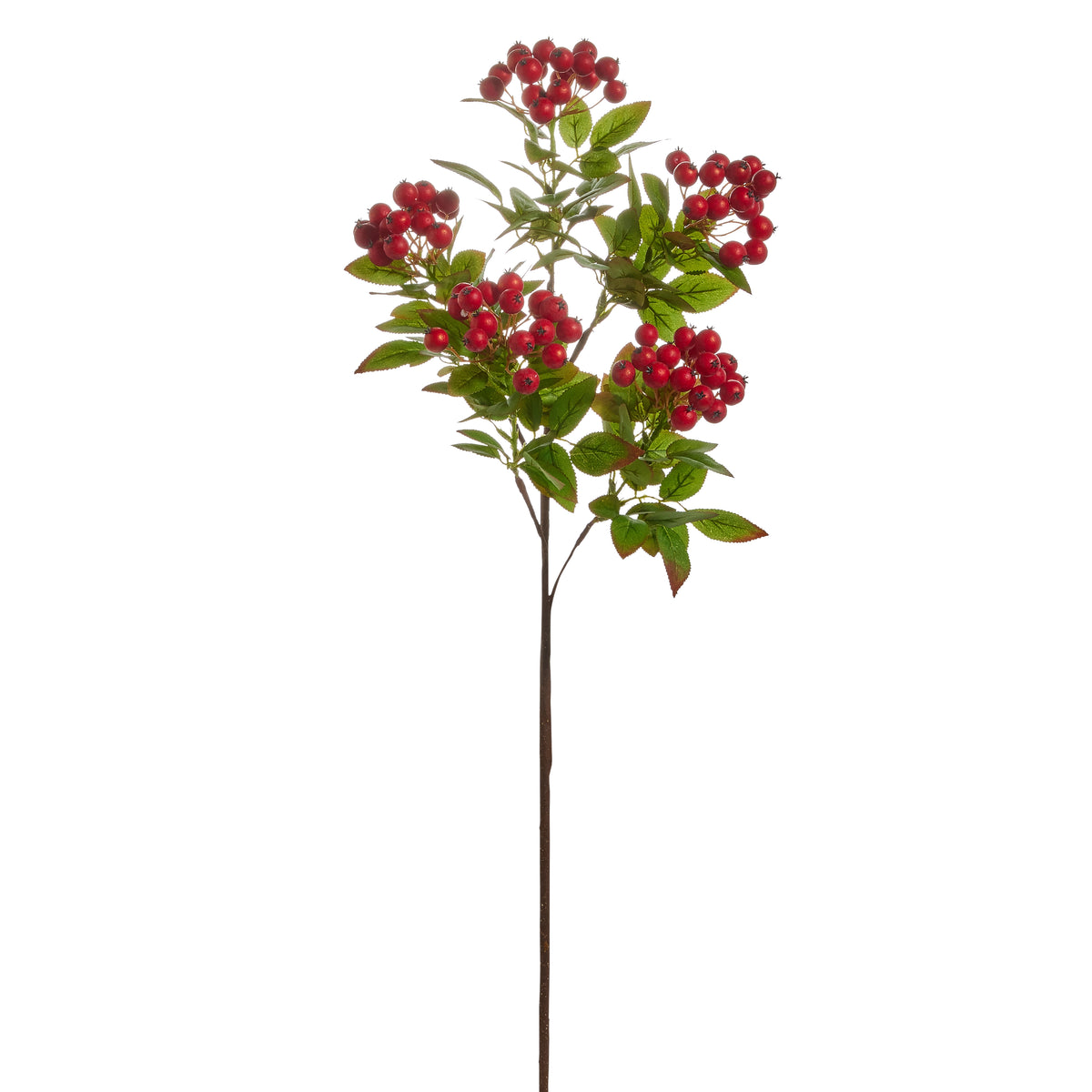 Artificial stem with red berries and green leaves on a white background