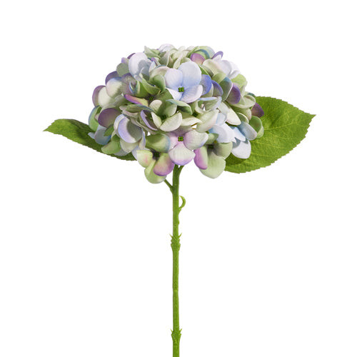 purple and blue hydrangea stem.