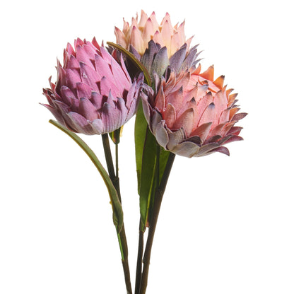 decorative stems of protea flowers