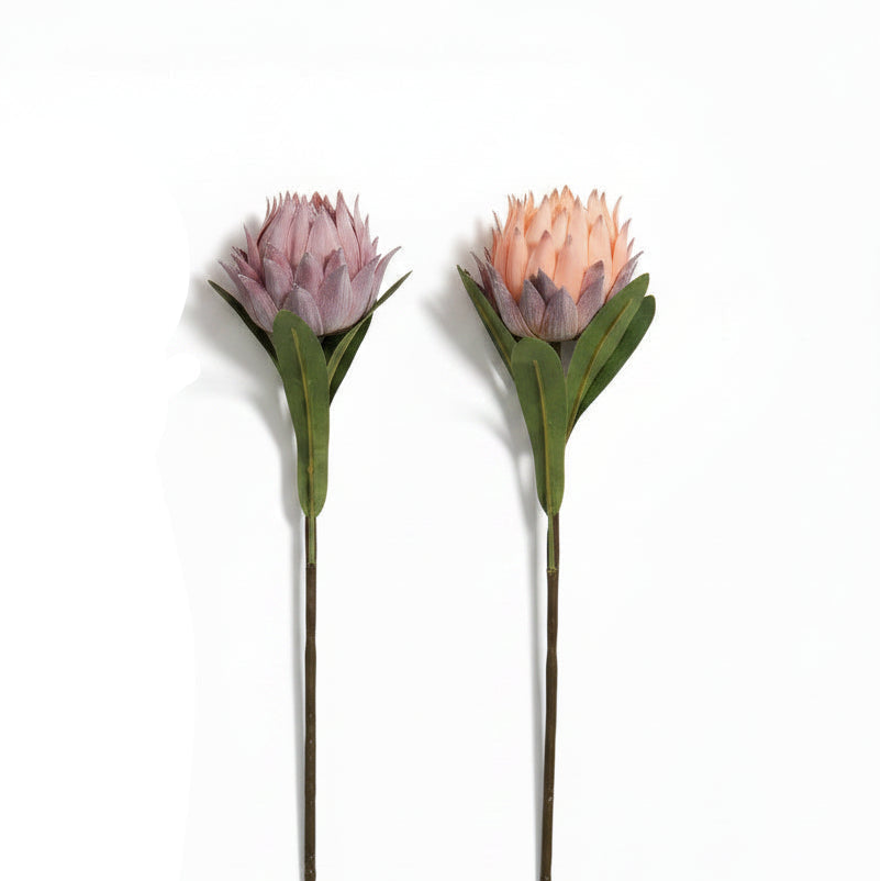Two artificial protea flowers with green stems on a white background