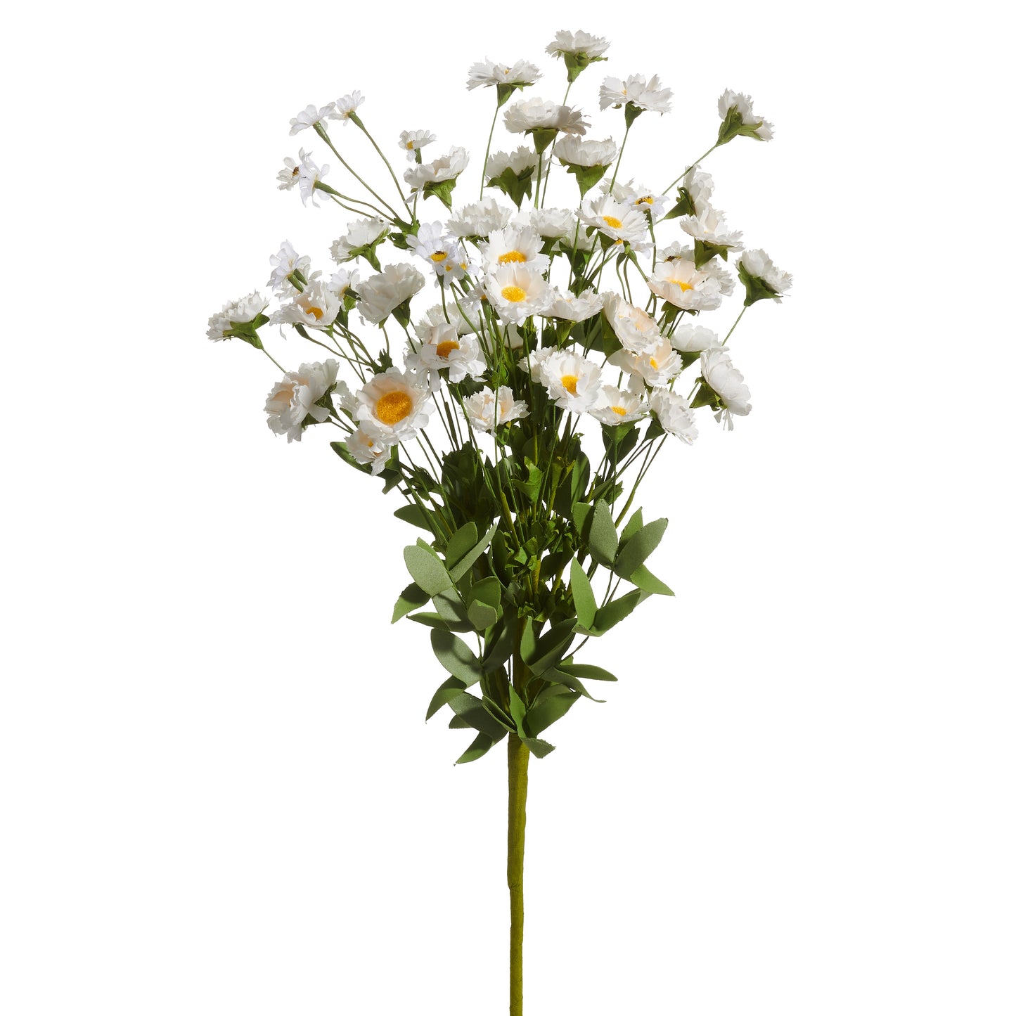 decorative stems of white daisy flowers