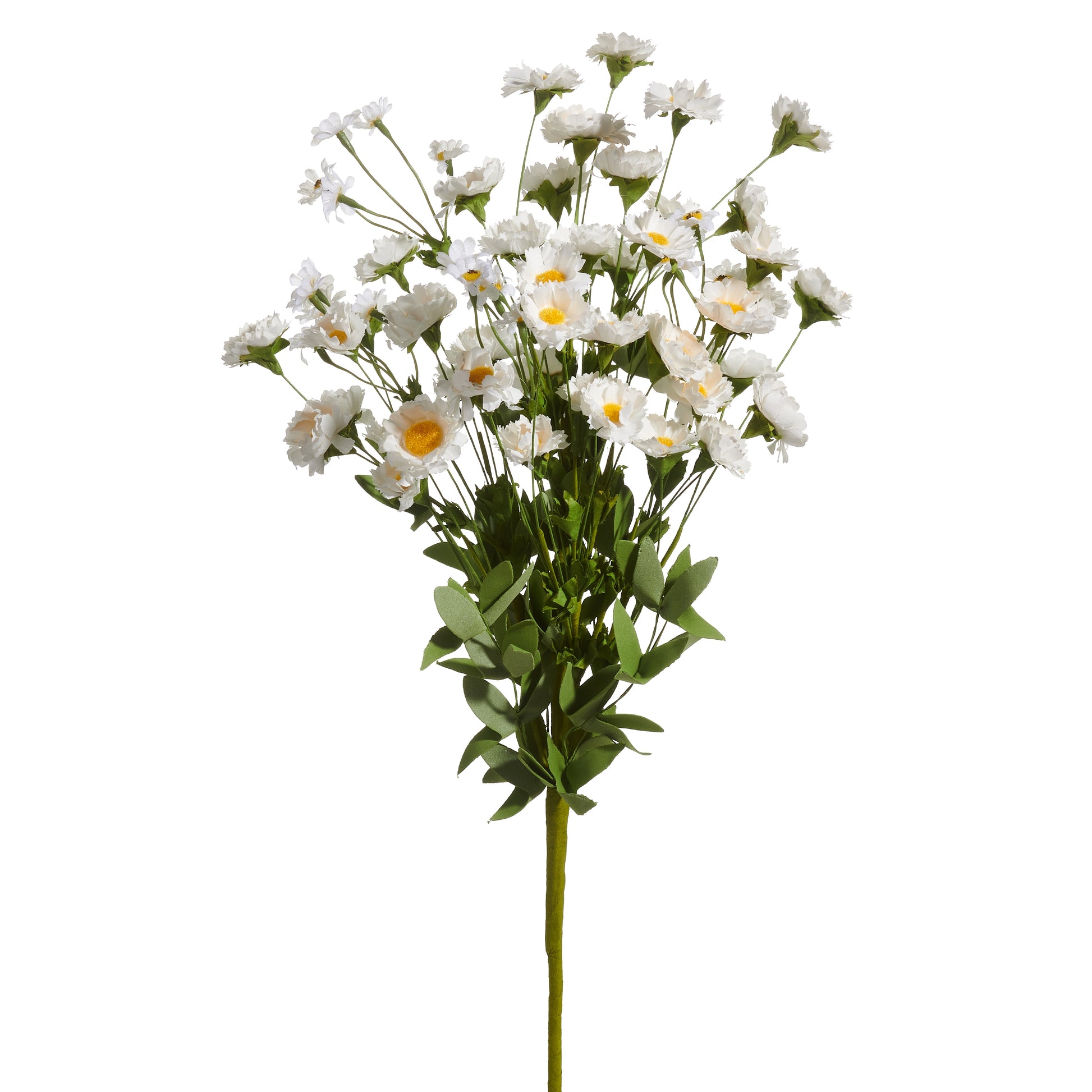 decorative stems of white daisy flowers