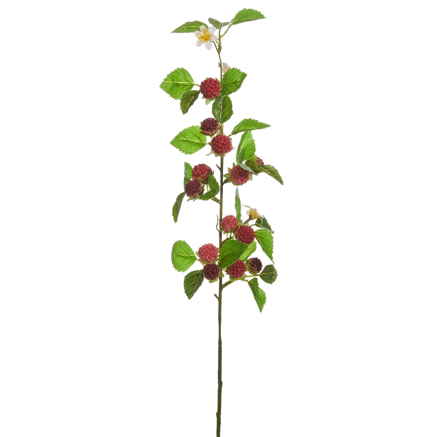 decorative stem with leaves and raspberries