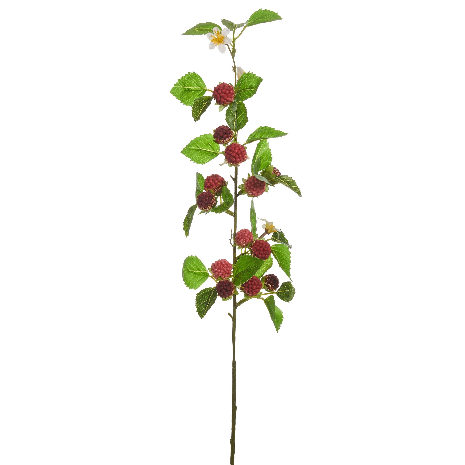 decorative stem with leaves and raspberries