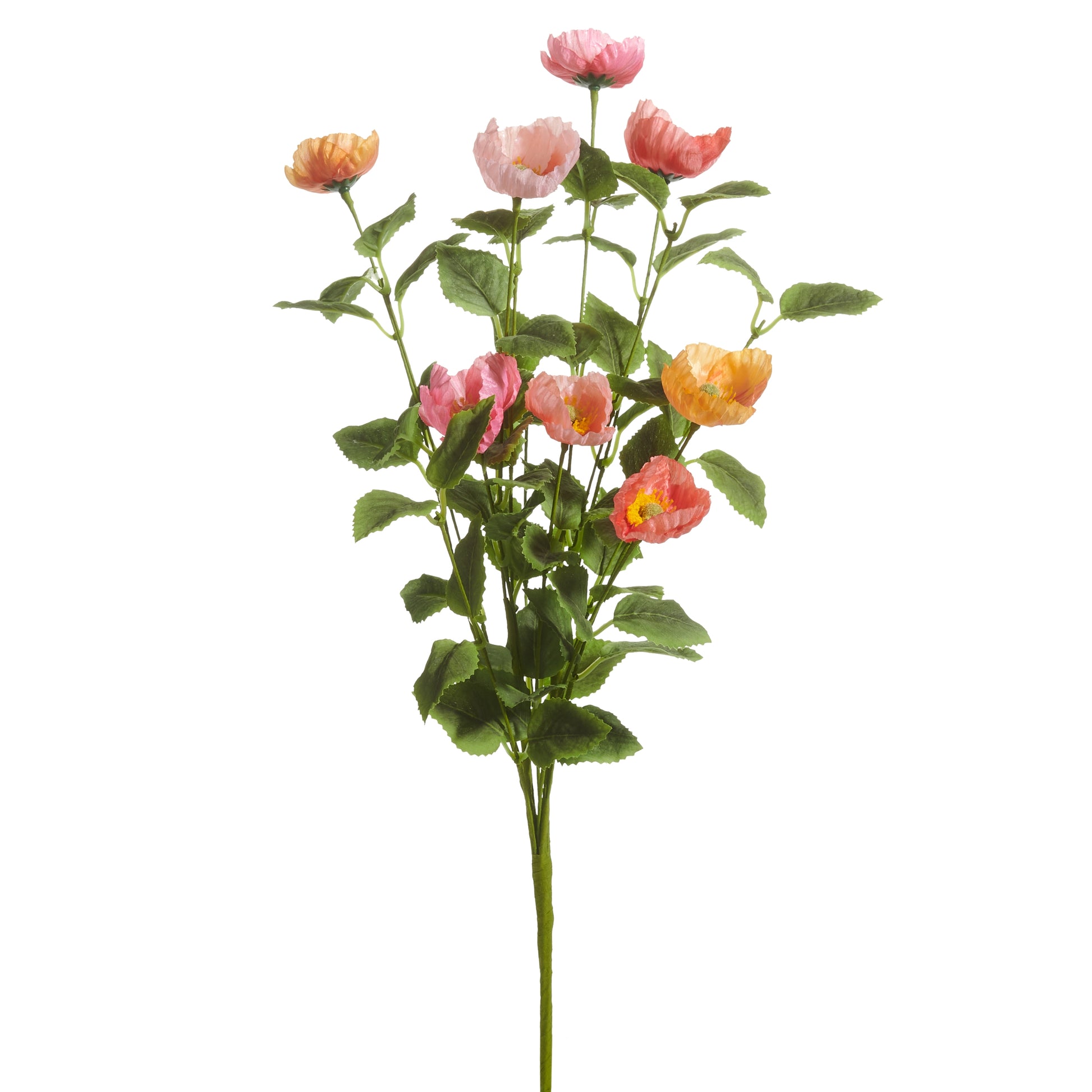 decorative stem with leaves and pink and coral poppy flowers