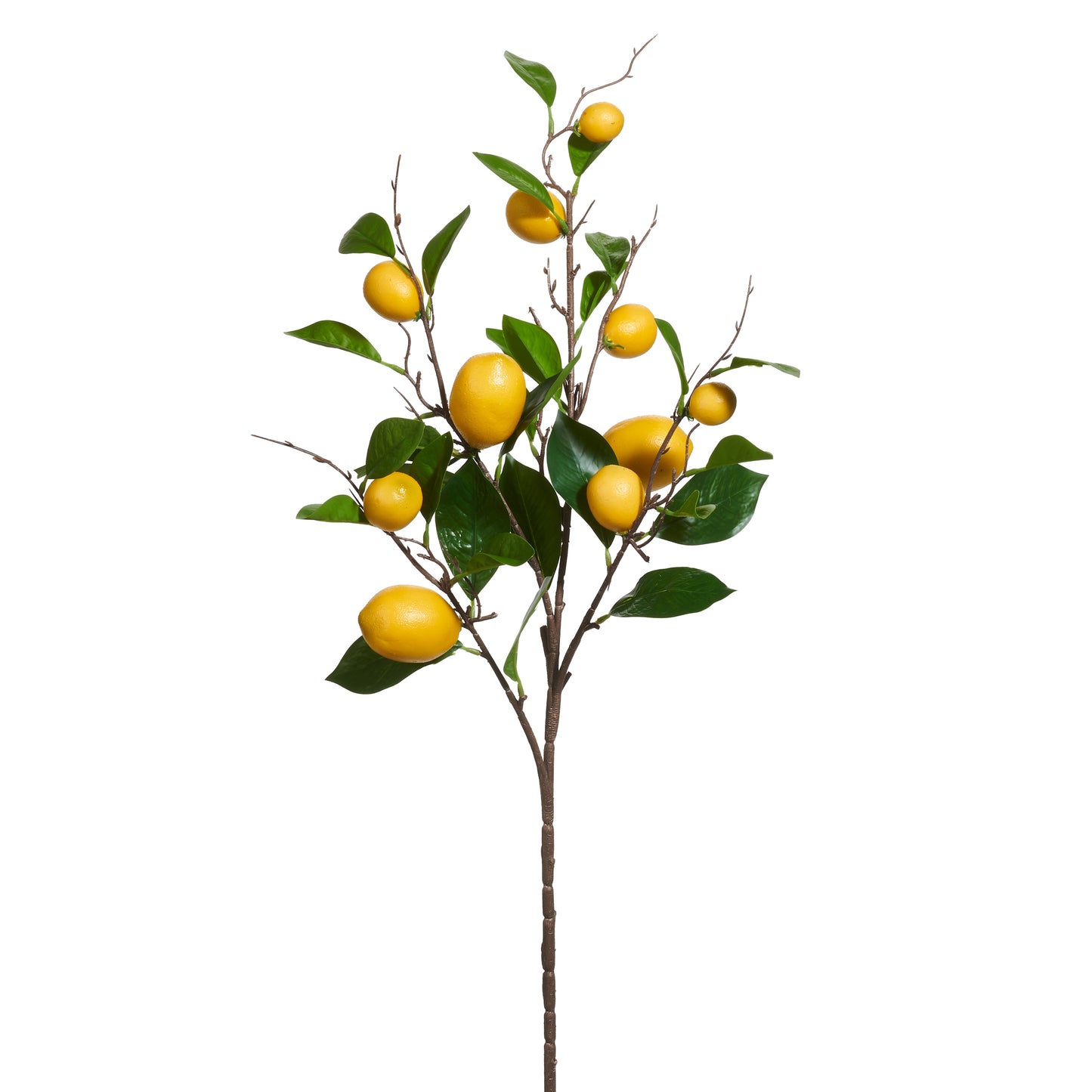 decorative stem with leaves and lemons on it