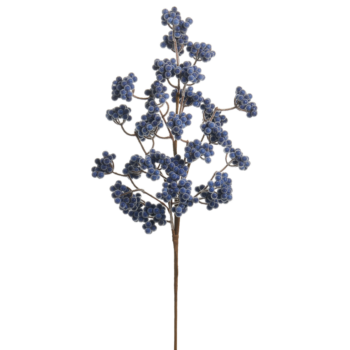Blue Cluster Berry frosted Spray shown on a white background