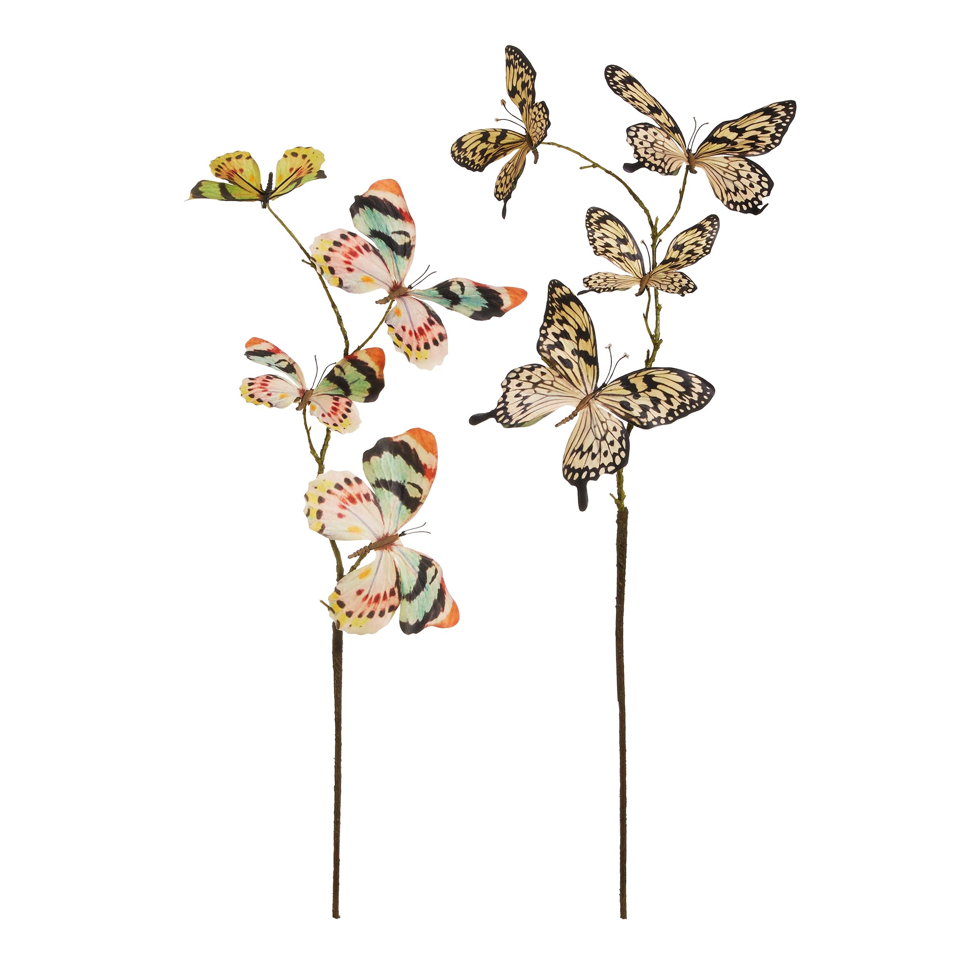 1 stem of multicolored butterflies and 1 stem of natural colored butterflies arranged on a white background