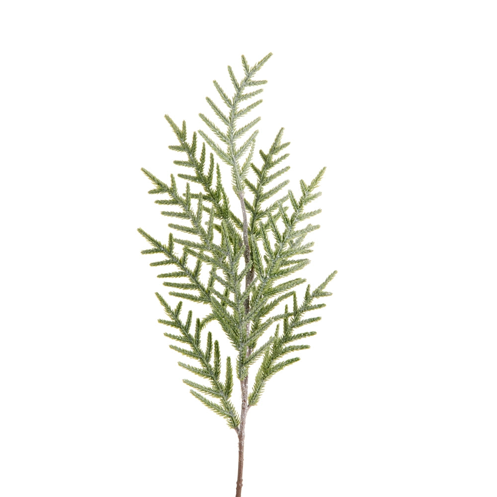 artificial stem of pine with light frosting shown on a white background