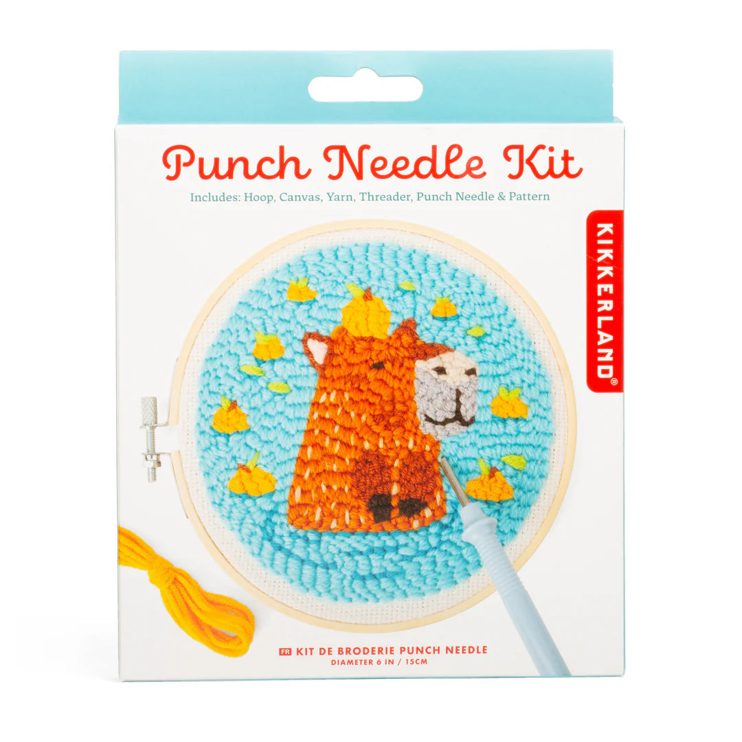 box for the Capybara Punch Needle kit