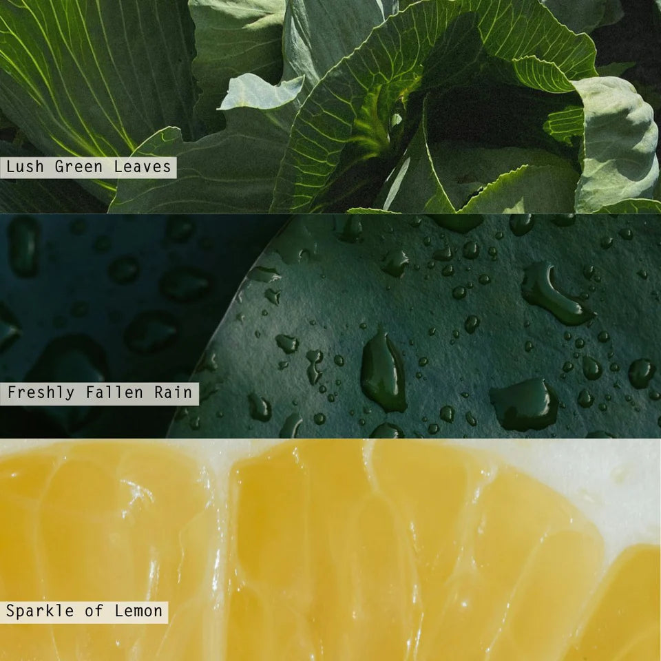 fragrance notes and images on leaves and fruit