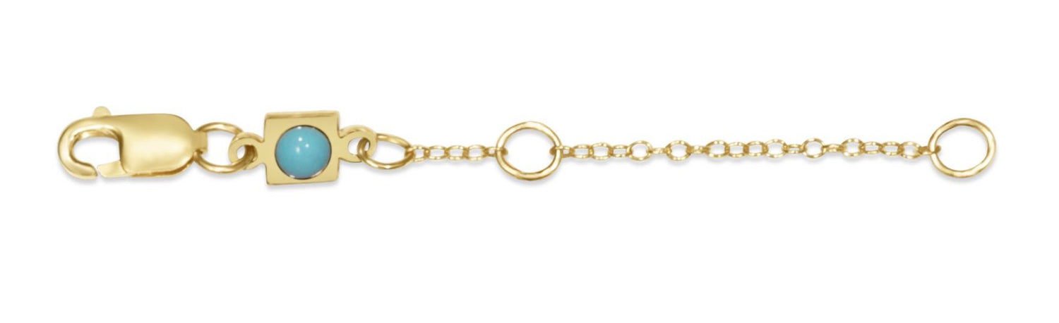 gold enewton 2" necklace extender