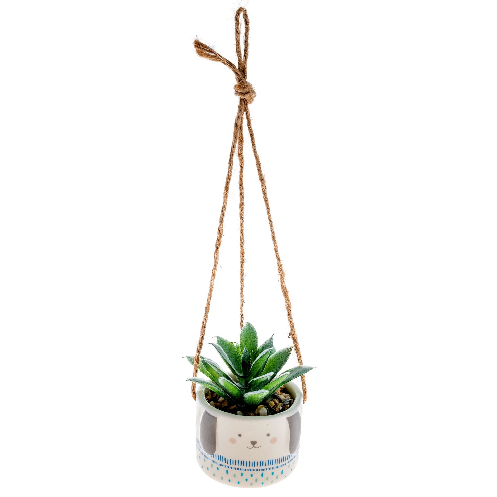 hanging succulent with dog design pot on a white background.