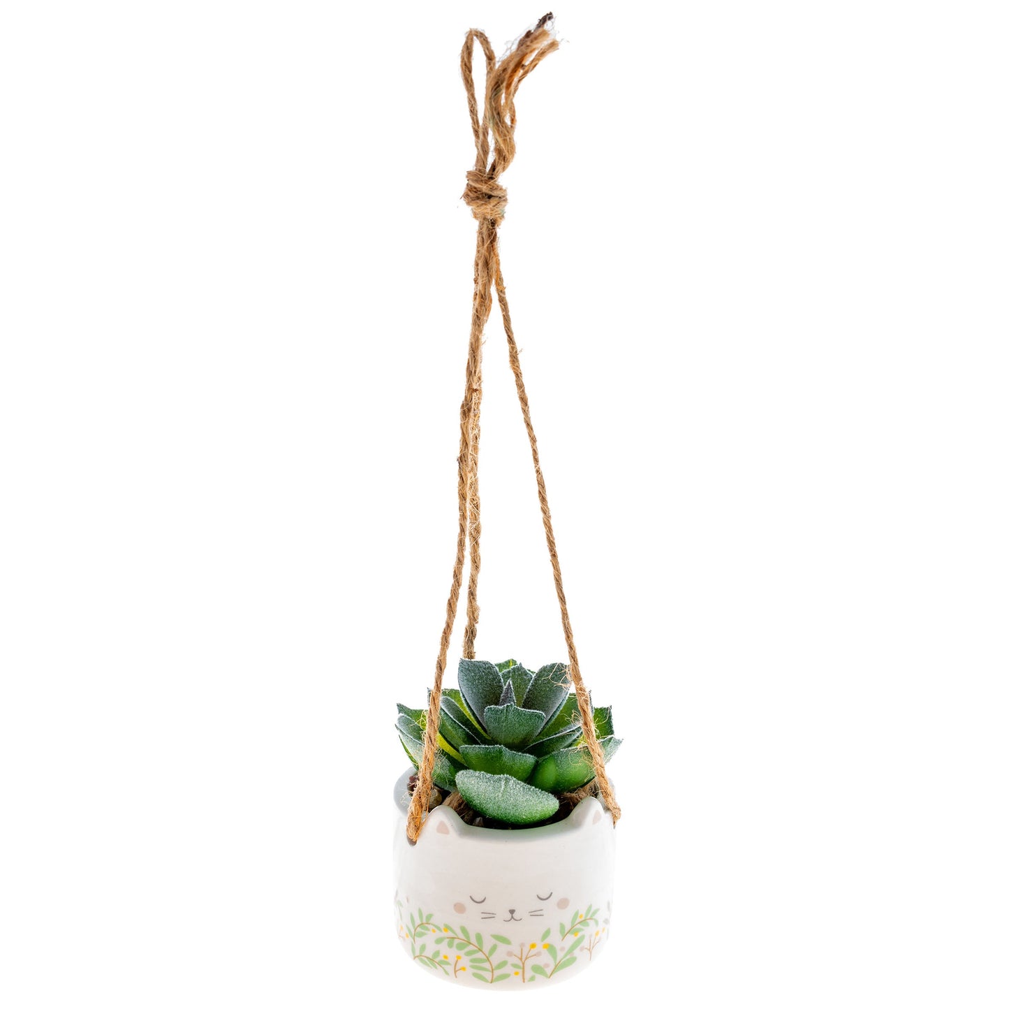 hanging succulent with cat design pot on a white background.