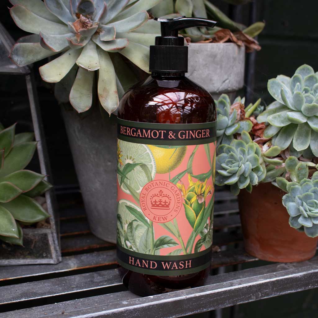 pump bottle of bergamot and ginger hand soap on a decorated surface