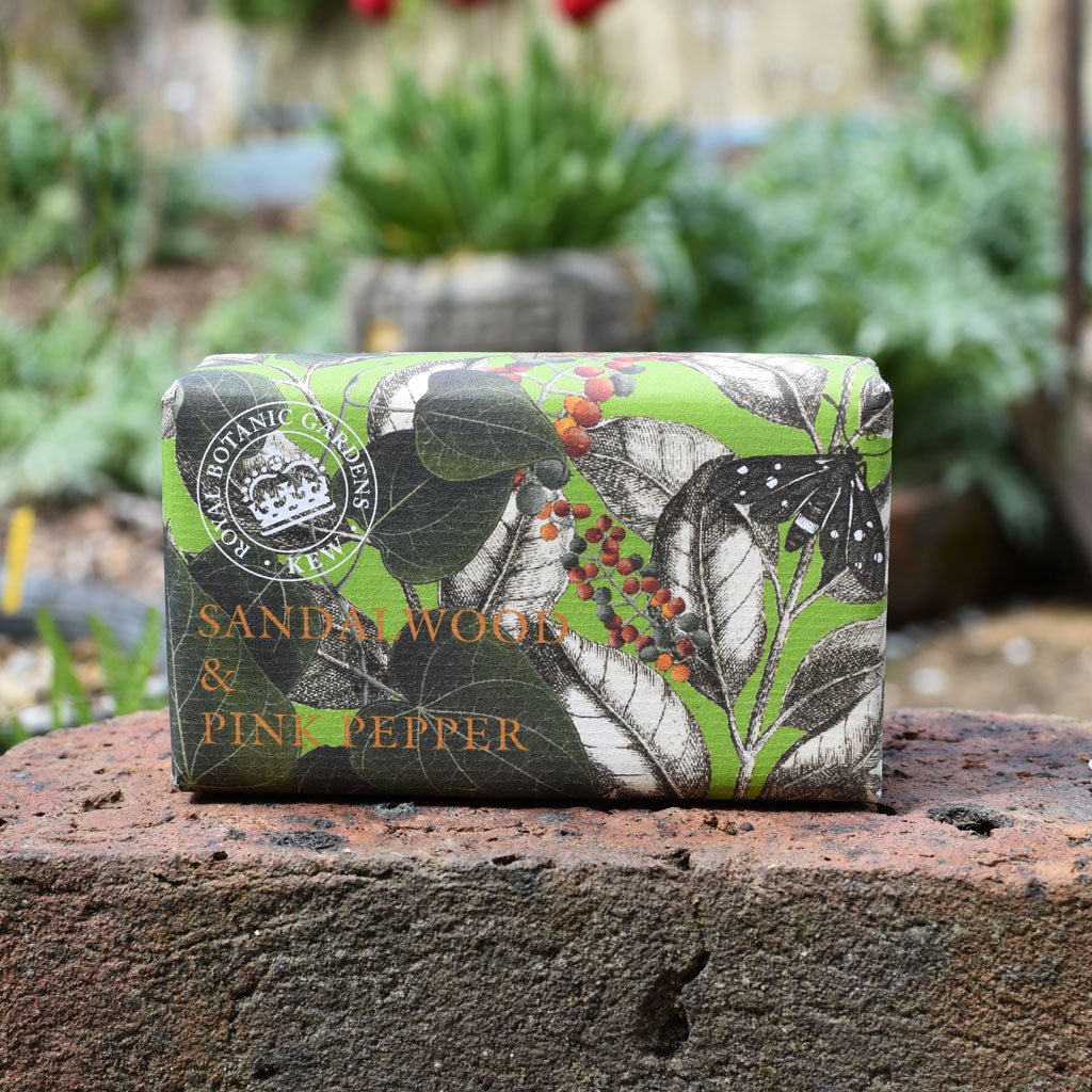 Bar of soap with botanical design on a brick surface, garden in the background