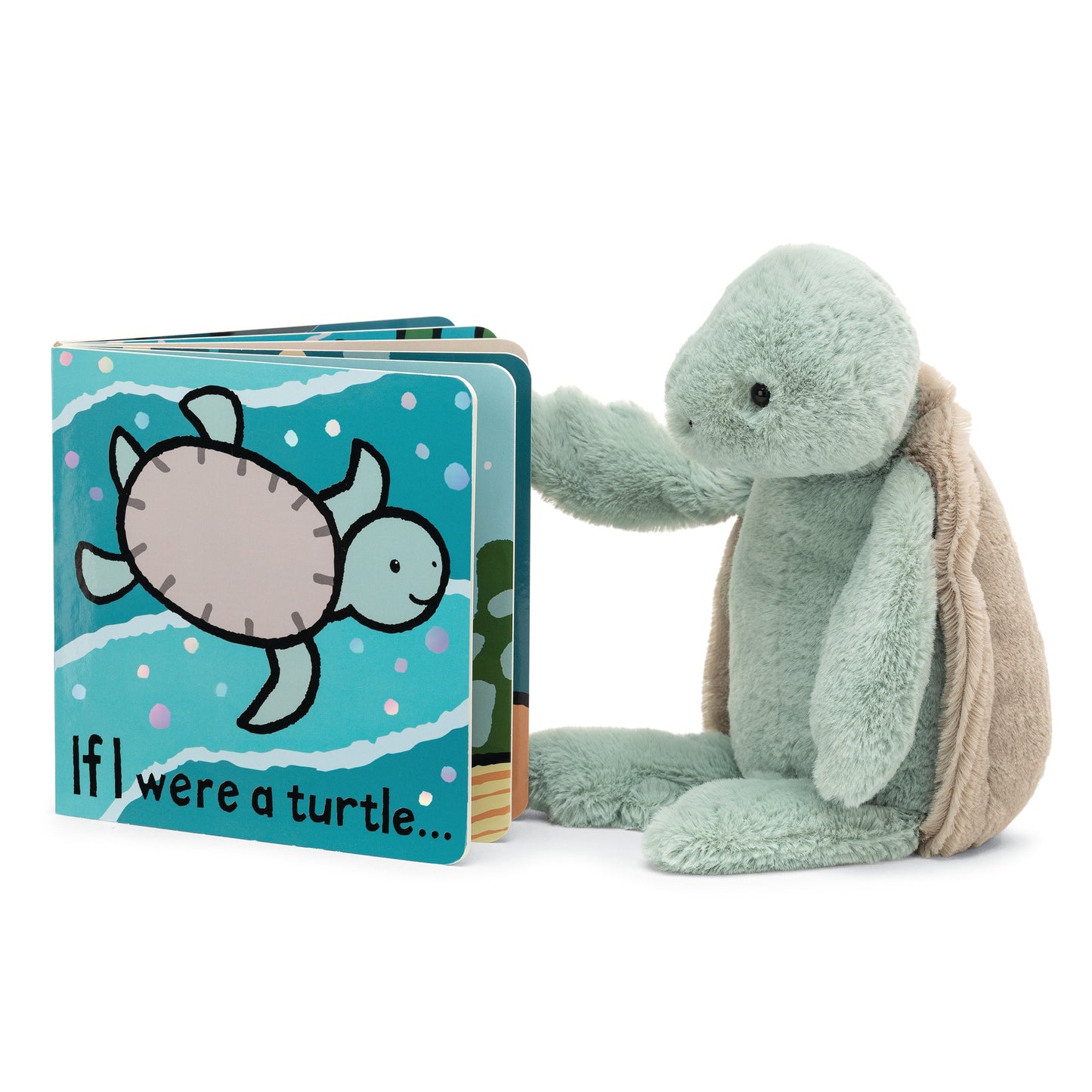 stuffed animal turtle reading the if I were a turtle book!