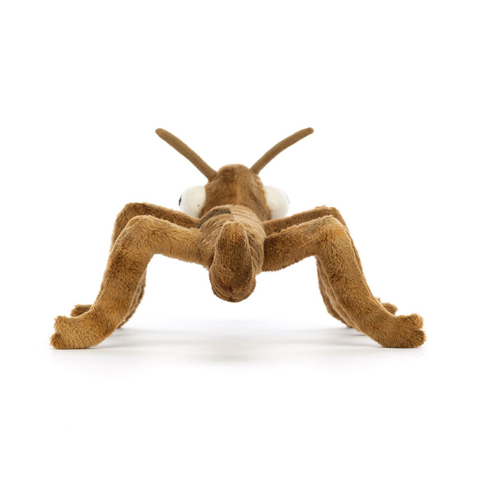 back view of Stanley Stick Insect Plush Toy.