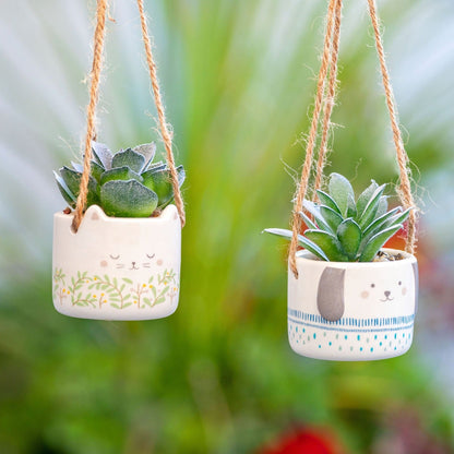 dog and cat hanging succulent pots hung in a window.