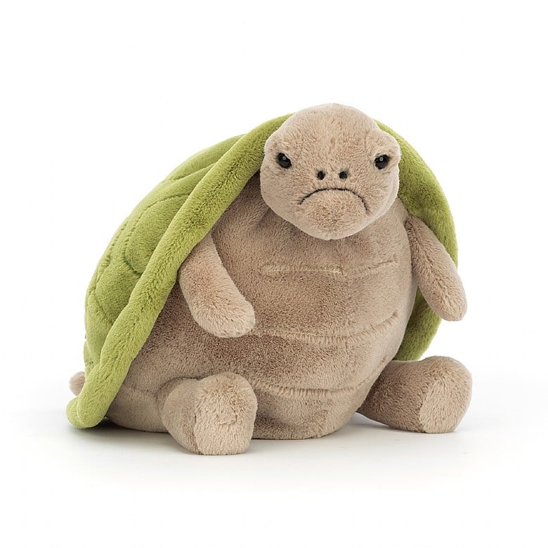 front angled view of Timmy Turtle Plush Toy displayed against a white background