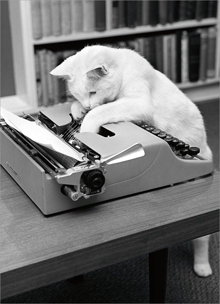 front of card is black and white photo of a white cat working on a typewriter