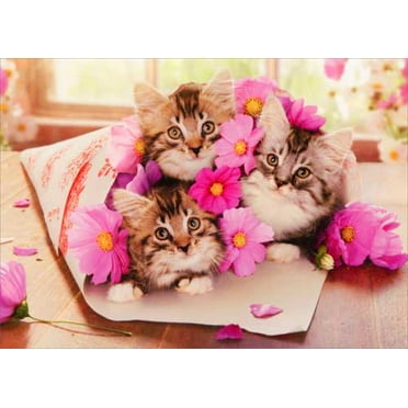 front of card is a wrapped bouquet of three kittens and pink flowers
