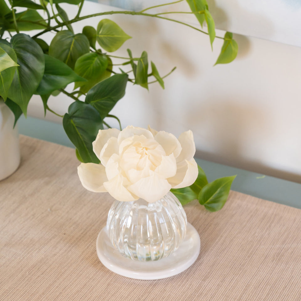 Cashmere Kiss Flower Diffuser set on a table with a vining plant next to it.