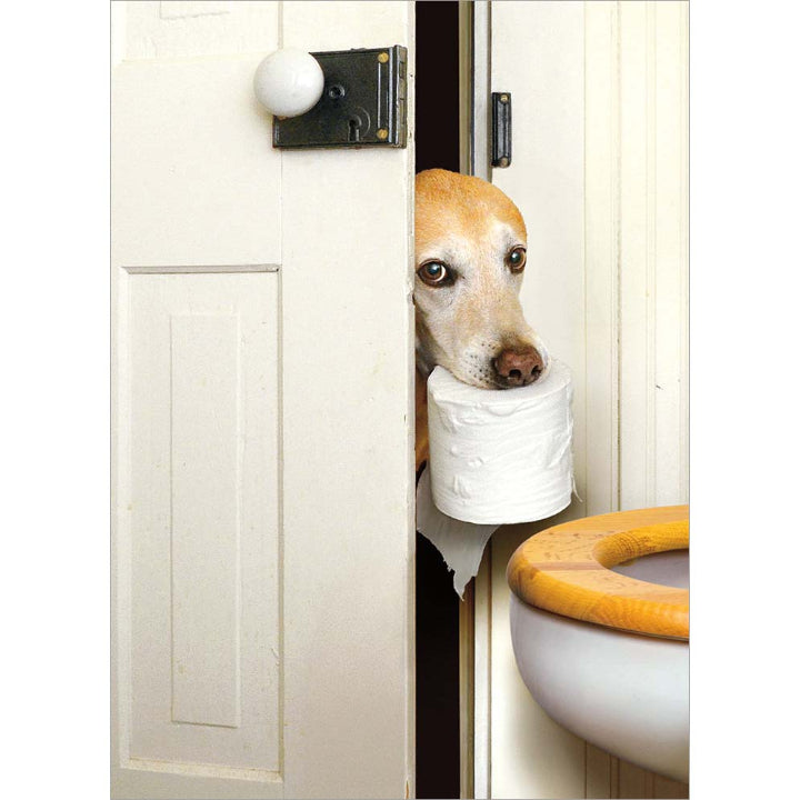 front of card is a dog leaning inside a bathroom door holding a roll of toilet paper in his mouth
