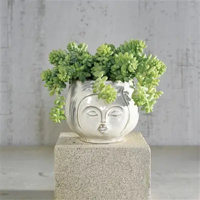 Pucker Up Vase filled with succulents
