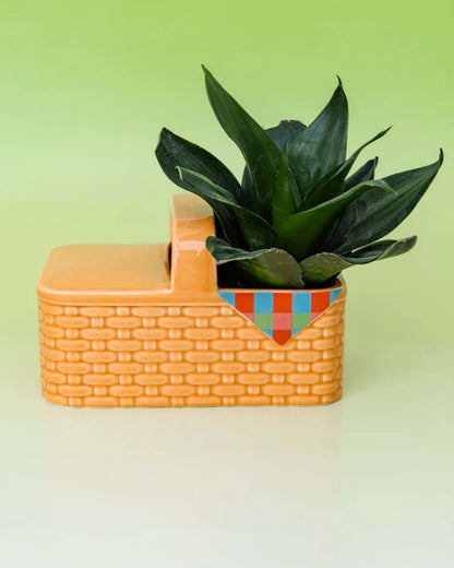 ceramic picnic basket planter filled with greenery shown on a green background.