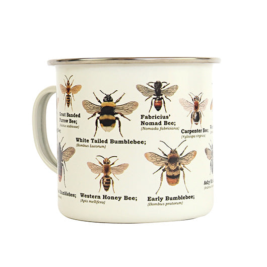 reverse side of bee mug.