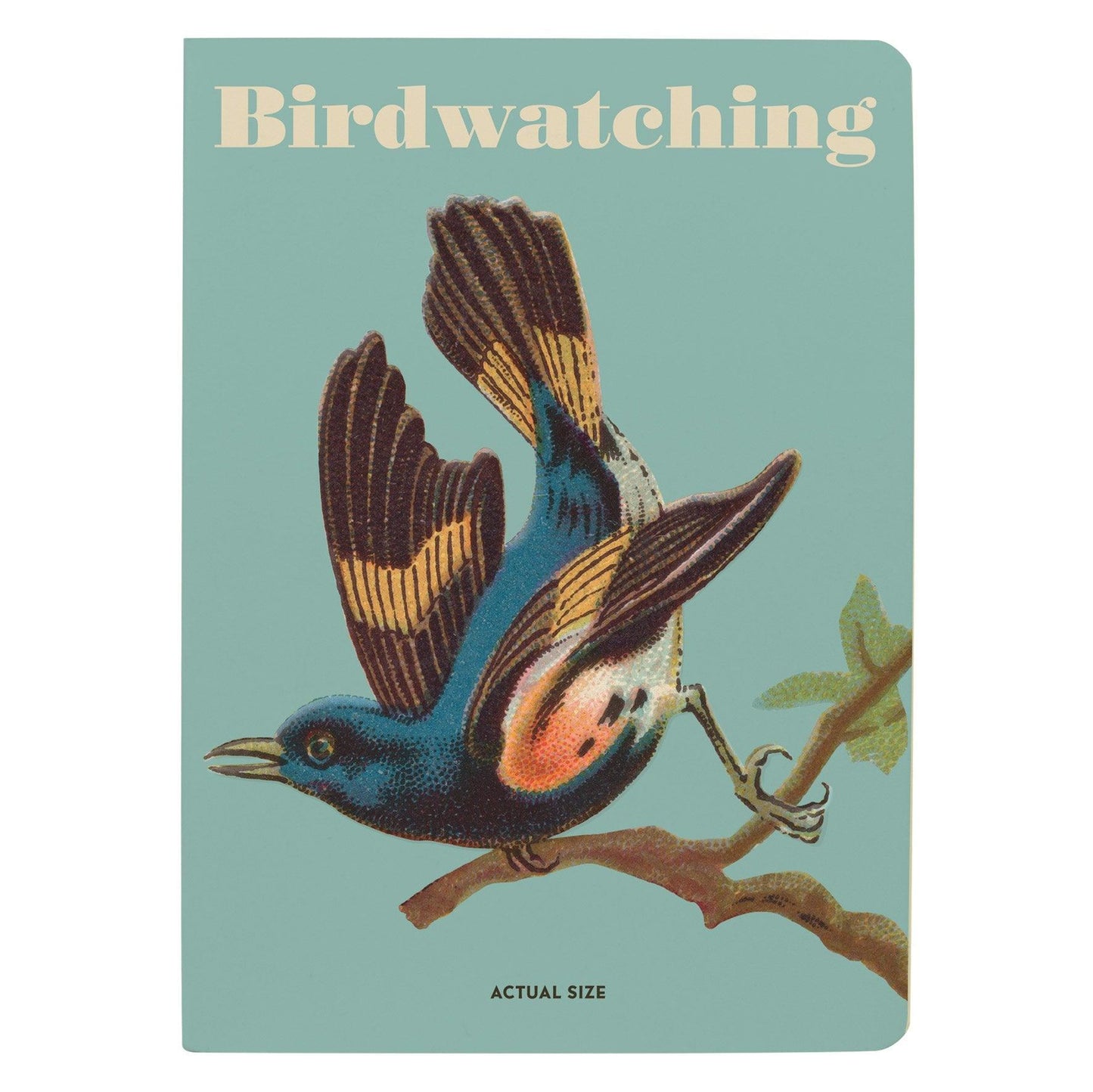 light blue cover with tan text featuring an image o a bird