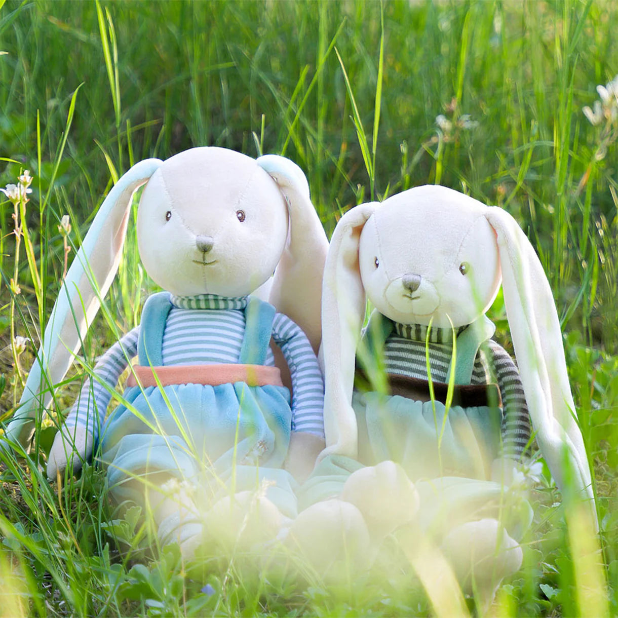 2 colors of brother bunnies sitting in the graass