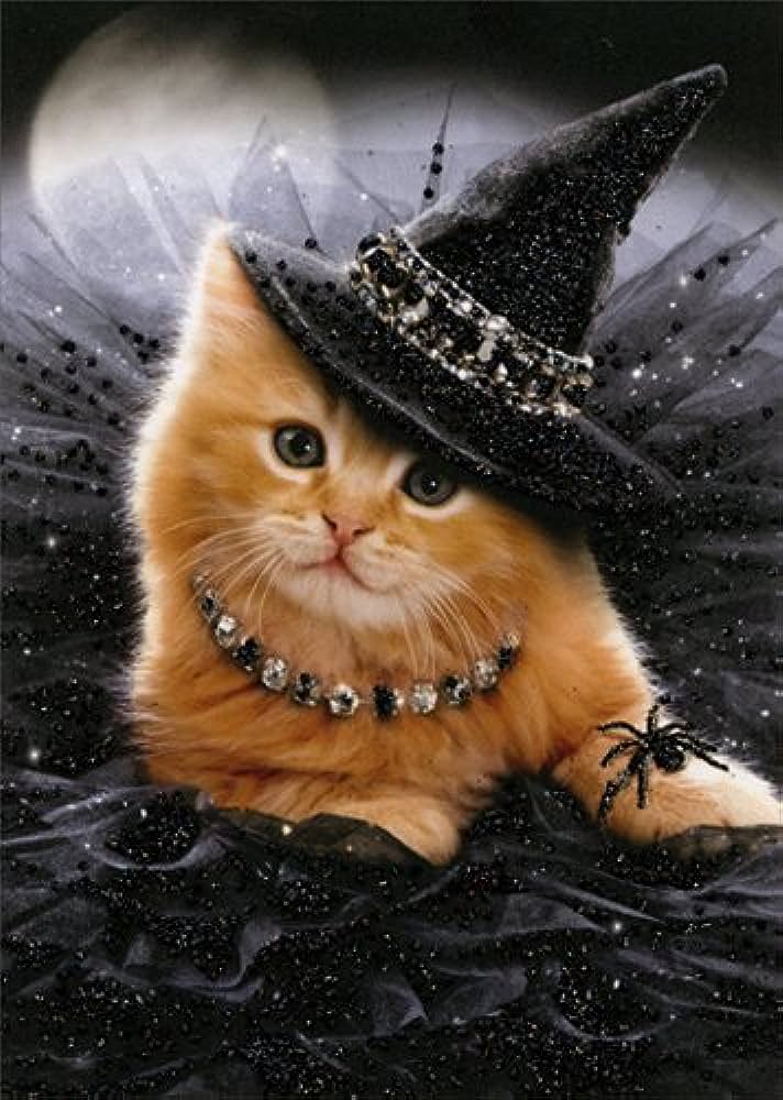 orange kitten dressed as glitzy witch with moon in background