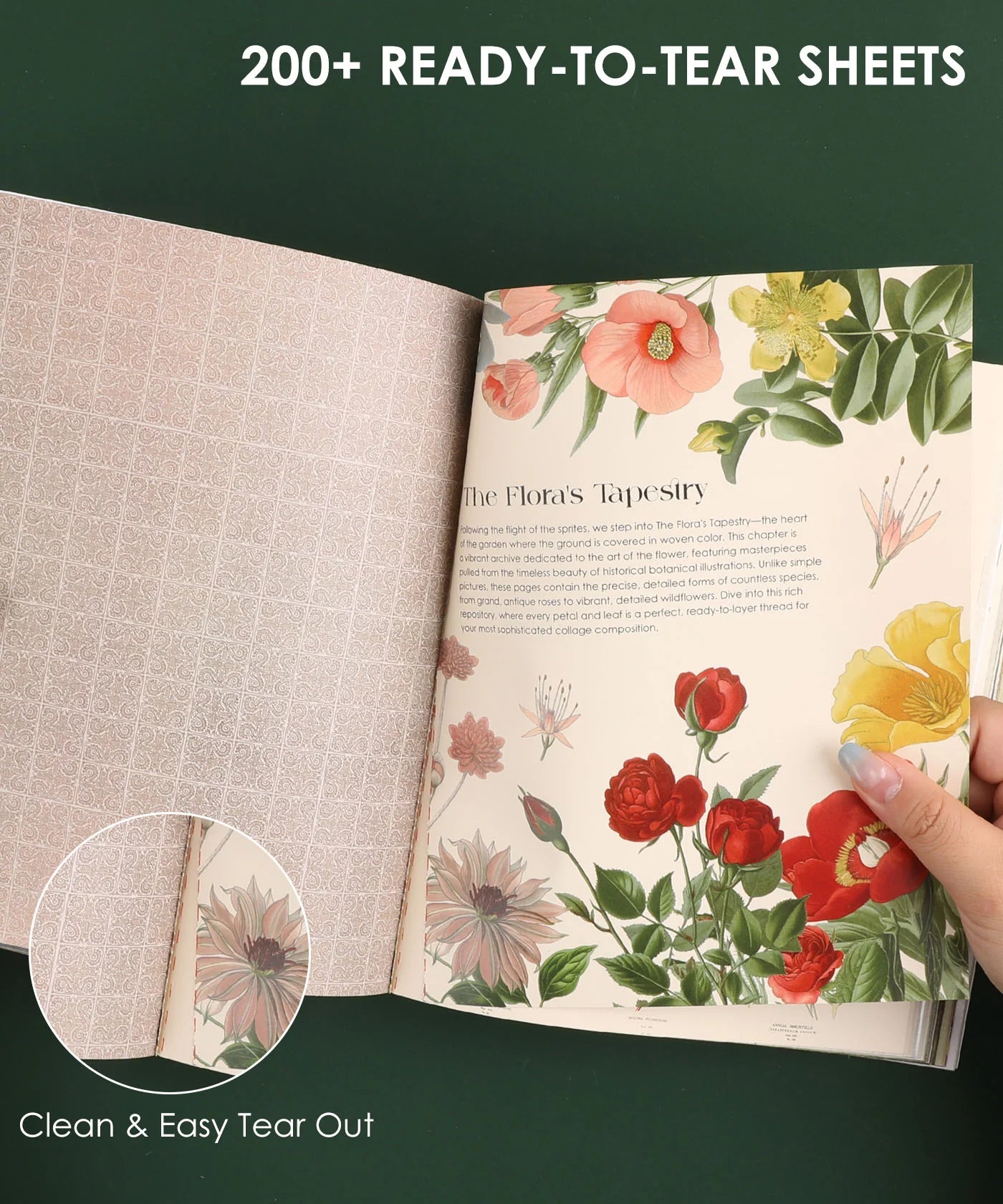 Book with floral design on pages and text, held open by a hand.