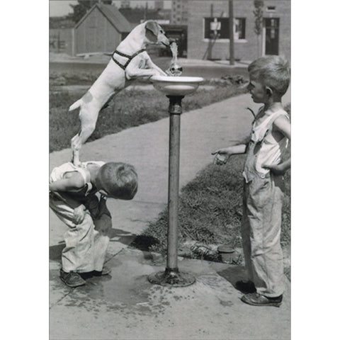 front of card is black and white photo of two small boys at a water fountain, one letting a dog stand on his back to drink