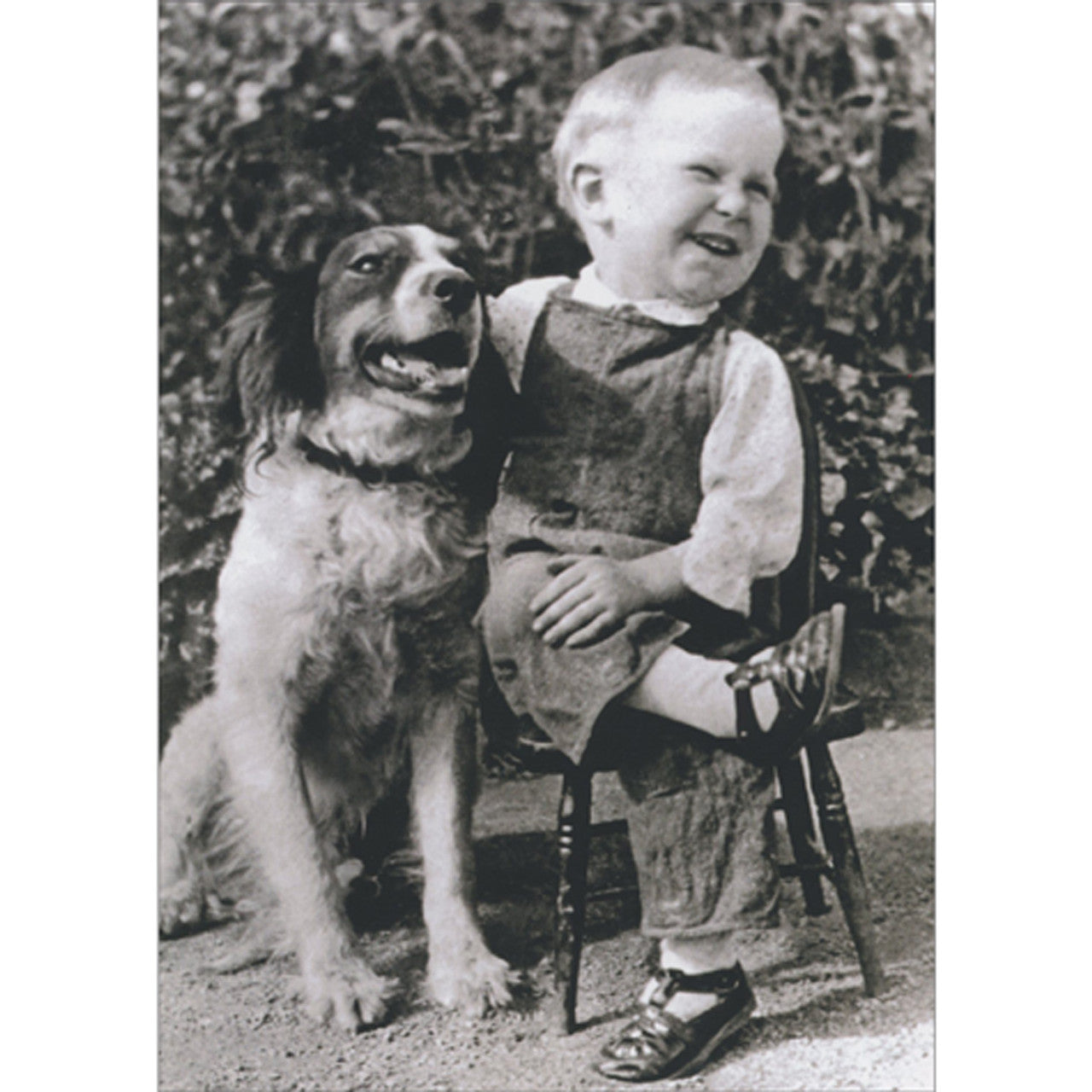 front of card is a little boy laughing sitting beside a dog in black and white
