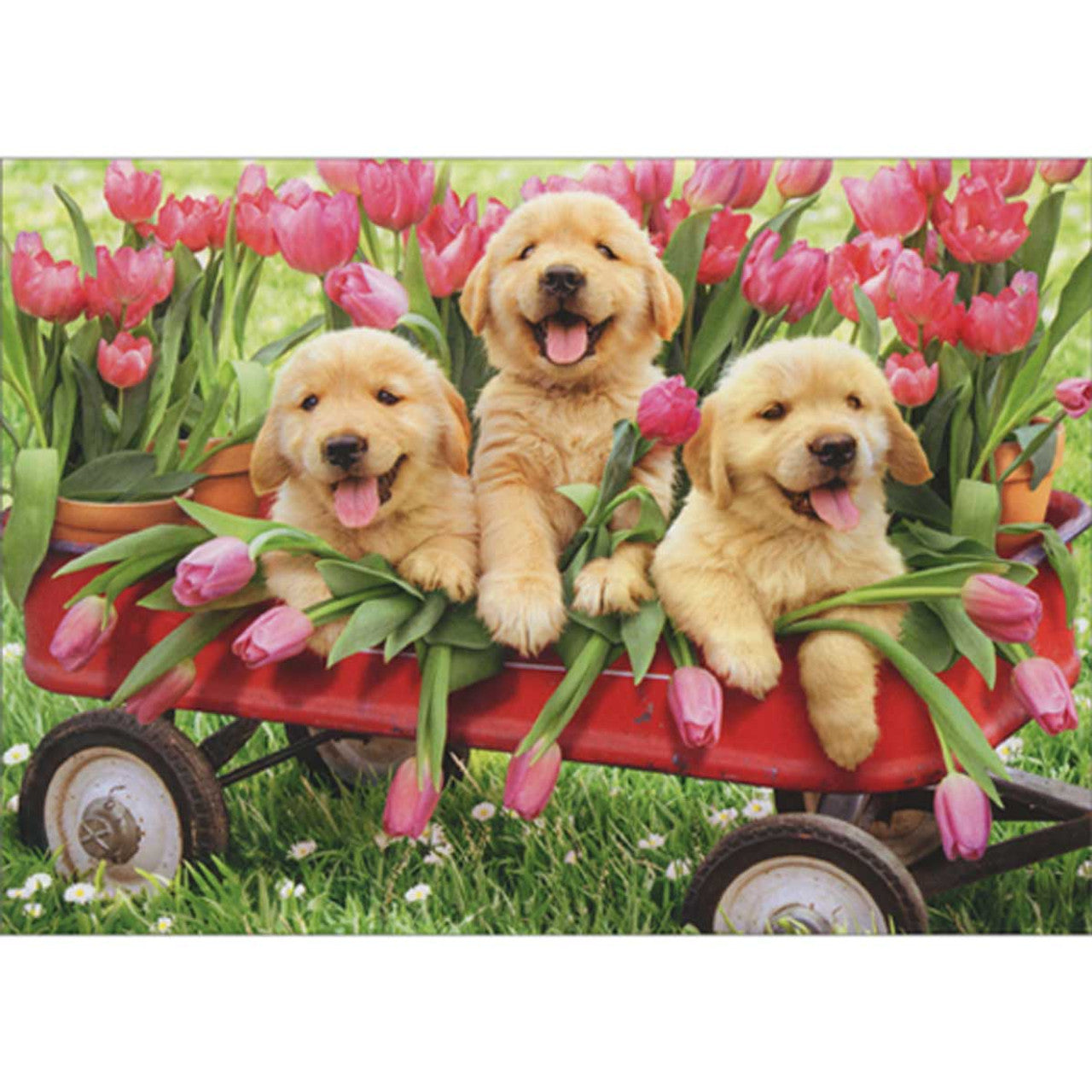 front of card is three golden retriever puppies and pink tulips inside a red wagon